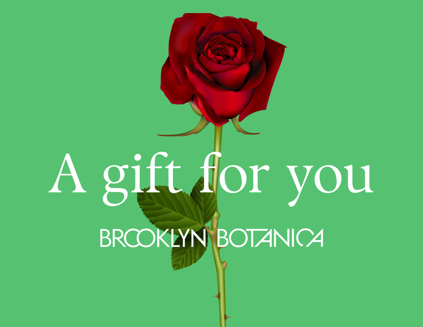The Brooklyn Botanica Gift Card